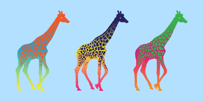 2560x1600 Groovy Giraffes [WALLPAPER] : woahdude