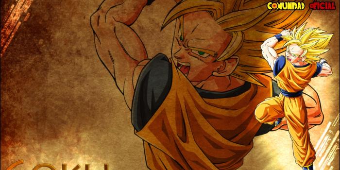 1920x1200 Dragon Ball Z Live Screenshot 2 HD wallpaper