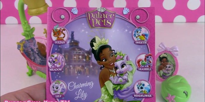 1920x1080 Disney Princess Palace Pets - Beauty and Bliss Playset - Tianas