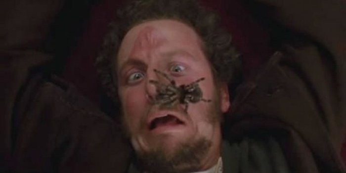 1200x660 30 Home Alone Facts - Home Alone Trivia