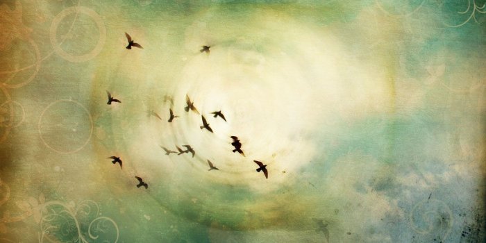 1280x1051 Freedom wallpaper with birds