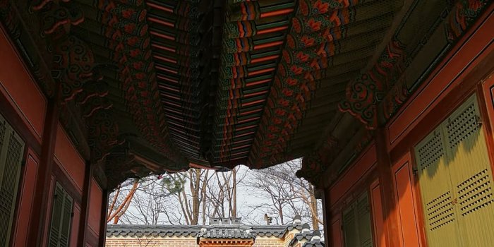910x1213 HD wallpaper: south korea, gyeongbokgung palace, ancient, temple