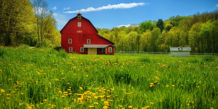 1920x1200 20619 red country wallpaper