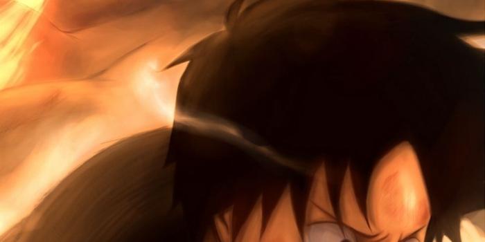 800x1200 Wallpaper Meta Gun, Guys, Art, Monkey D Luffy, Portgas - One Piece