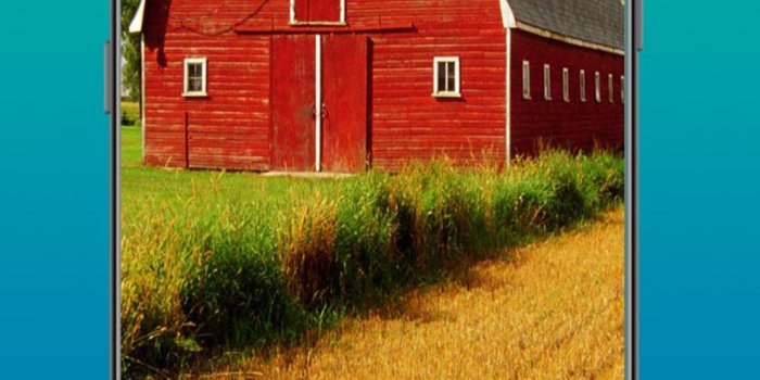 830x1400 Country Wallpaper for Android - APK Download