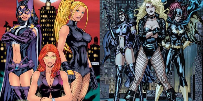 1920x1440 dc comics black canary batgirl huntress birds of prey 1920x1440