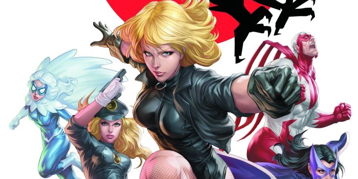 1980x3153 dc comics comics superheroes black canary huntress birds of prey