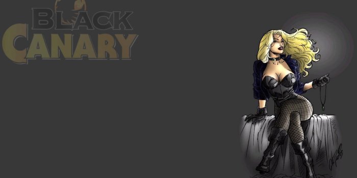 2560x1440 Best 62+ Black Canary Wallpaper on HipWallpaper | Black Canary