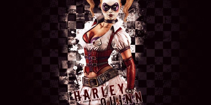 1920x1440 dc comics, Superhero, Hero, Warrior, D c, Comics, Harley, Quinn