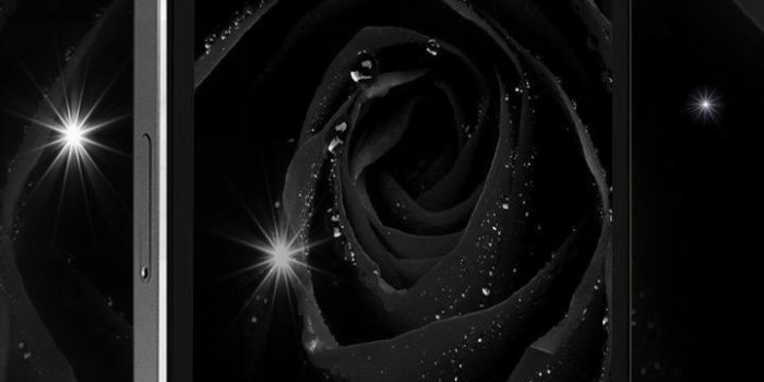 720x1280 Luxury Dark Rose HD Wallpaper for Android - APK Download