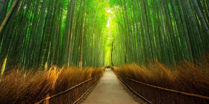 1456x819 Windows 10 Lockscreen Wallpaper Dump (1920 x 1080) in 2020