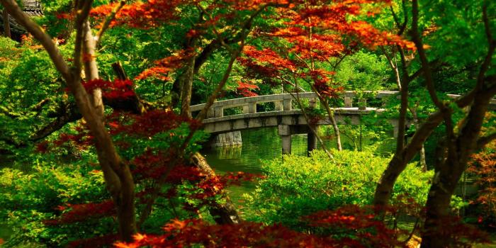 2560x1600 Japanese Garden Kyoto Mac Wallpaper Download | AllMacWallpaper
