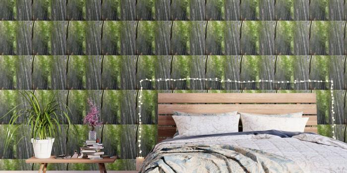 1500x1500 Kyoto, Bamboo Forest Wallpaper by happydidi | Society6