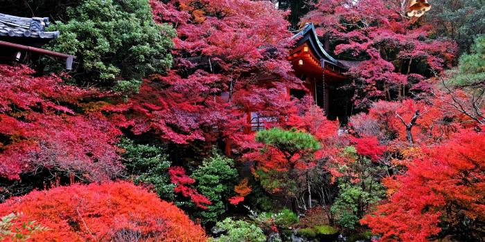 2560x1080 Download wallpaper 2560x1080 temple, autumn, japan, kyoto dual