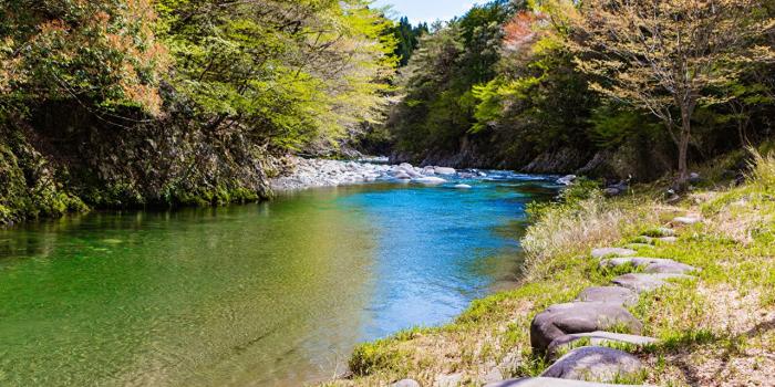 1280x853 Wallpaper Kyoto Japan Sagano Nature Forests stone river