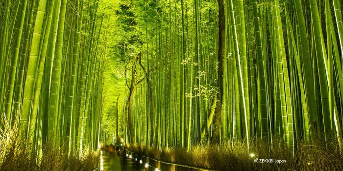 1920x1200 Japan's wallpaper> A wallpaper of 