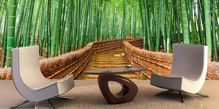 1500x1110 Wallpaper Mural Kyoto Japan Bamboo Forest Wall Art Decor Photo