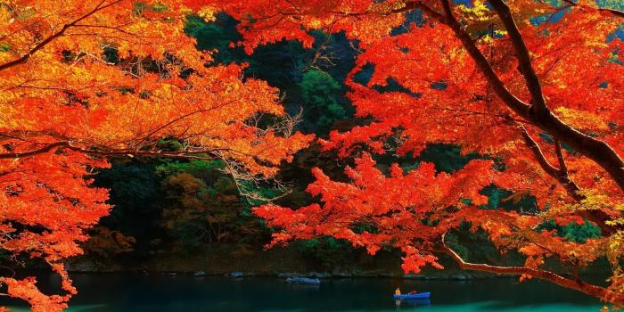 1920x1200 nature, Landscape, Lake, Trees, Fall, Colorful, Kyoto, Leaves