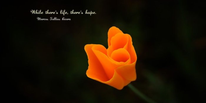 1024x768 50 Best Hope Quotes