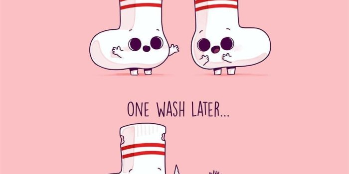 1000x1000 Best friends socks (With images) | Funny illustration, Funny