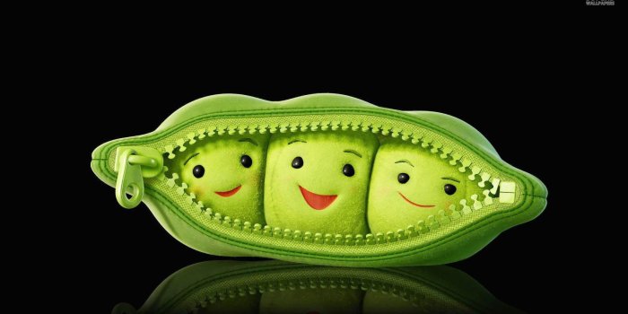 1920x1080 Free download funny quotes photos wallpaper desktop wallpapers