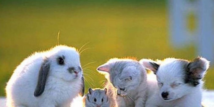 1024x768 Everlasting Friendship Wallpapers and Friendship Quotes 2016