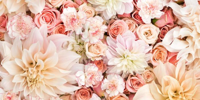 1856x1161 Desktop Pinterest Rose Gold Wallpapers