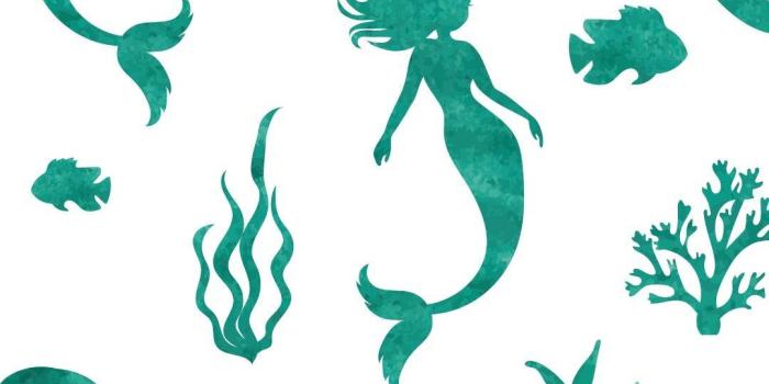 1080x1920 Cute Mermaid Wallpapers - Top Free Cute Mermaid Backgrounds