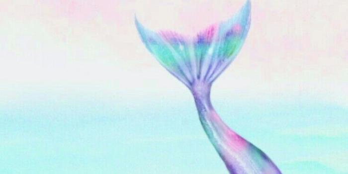 736x1309 Mermaid Tail Wallpapers - Top Free Mermaid Tail Backgrounds
