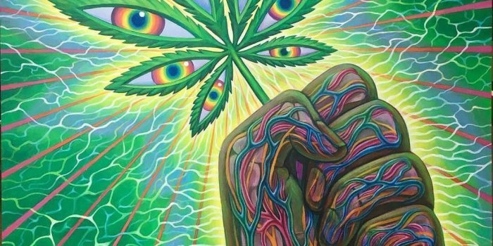 1080x1350 Pin on DMT