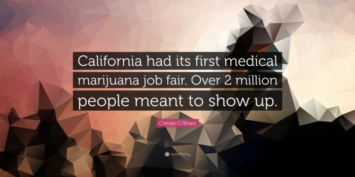 1600x900 Conan O'Brien Quote: “California had its first medical marijuana