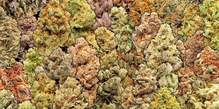 1280x800 50+] Marijuana Wallpaper on WallpaperSafari