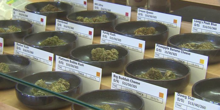 1920x1080 Seniors get on board the Cannabus - CNN Video