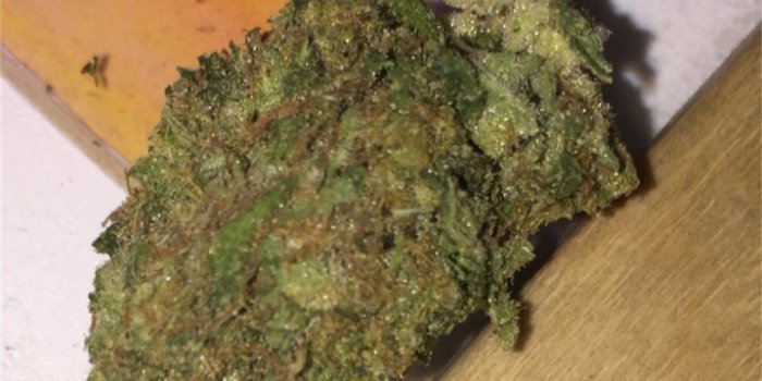 1024x1024 Cali Kush aka California Kush, Kali Kush Marijuana Strain