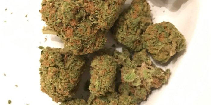 1021x1024 Cali Kush aka California Kush, Kali Kush Marijuana Strain