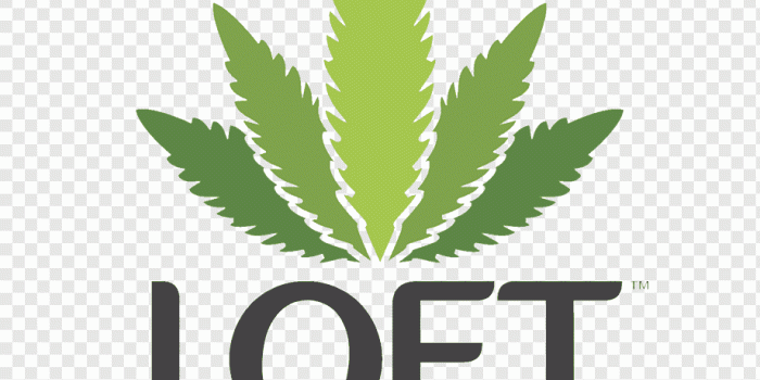920x921 Cannabis Logo png images | PNGWing