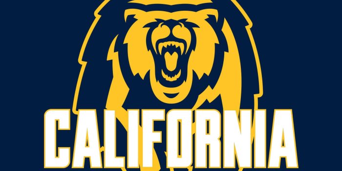 1920x1080 California Flag Wallpaper (55+ images)