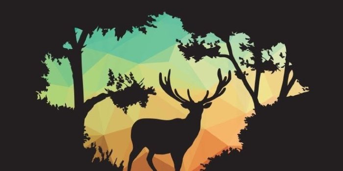 736x1377 iPhone XS wallpapers : Nature deer iPhone wallpaper background
