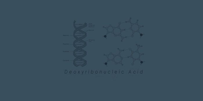 1920x1200 Biology wallpaper ·① Download free awesome full HD backgrounds