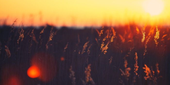 2560x1600 Free download Vintage Sunset Graphy Wallpaper 2560x1600 Full HD