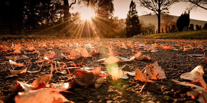 1920x1080 Sunshine Wallpapers Hd (#1952636) - HD Wallpaper & Backgrounds