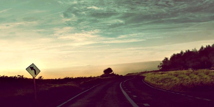 1600x916 Nature Sunshine Tree Wallpaper Hd | Wallpapers Quality