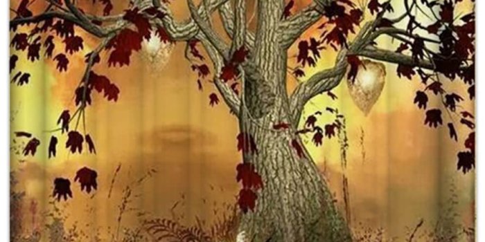 891x1149 Amazon.com: Morning-sunshine Vintage Old Twisted Tree Print