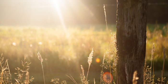 4287x2392 350+ Sunshine Pictures | Download Free Images on Unsplash