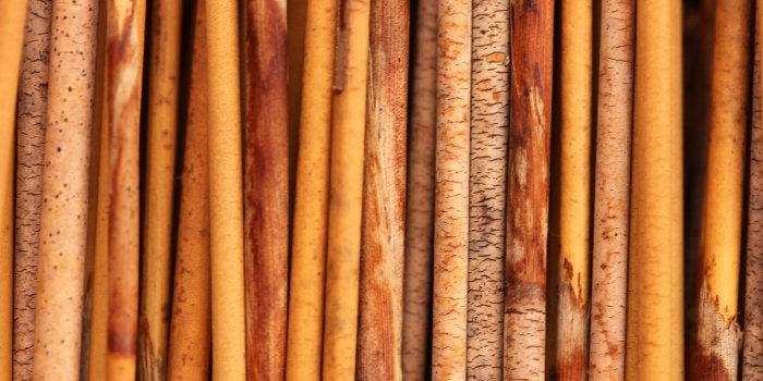 1920x1200 Amazing Wood Wallpapers - Top Free Amazing Wood Backgrounds