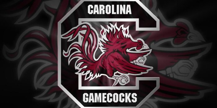 1024x768 50+] Gamecocks Wallpaper for Android on WallpaperSafari