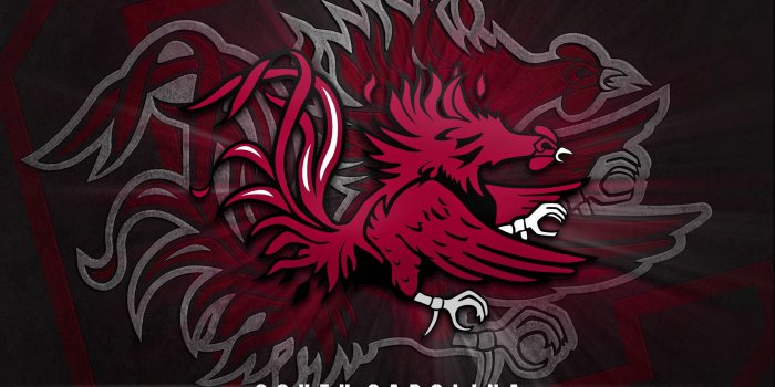 2048x2048 Carolina Gamecocks Wallpaper (72+ images)