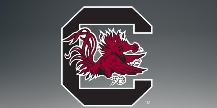 3200x1800 Gamecock Wallpapers Cell Phones