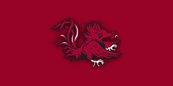 1440x900 SOUTH CAROLINA GAMECOCKS College Football Wallpapers Desktop