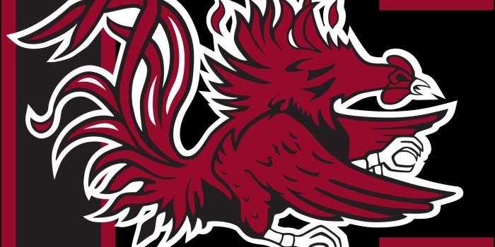 2000x2198 Gamecocks Wallpapers Group (52+)